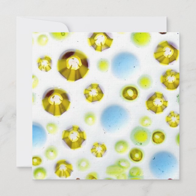 グラスガーデン第三号 (正面)