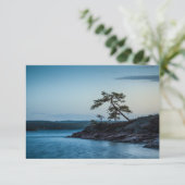 グラスコゲンスウェーデンカード (スタンド正面)