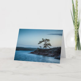 グラスコゲンスウェーデン カード