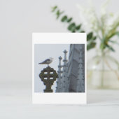 グラスゴーのカモメ ポストカード (スタンド正面)