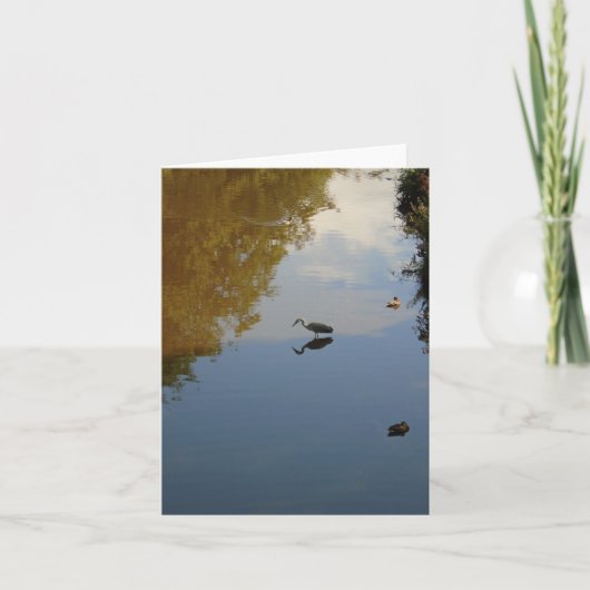 グラスゴー·ポロック公園の水鳥 カード (正面)