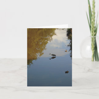 グラスゴー·ポロック公園の水鳥 カード