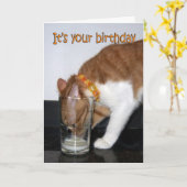 グラスハッピーバースデーカードからの猫の飲み物 カード (黄色い花)