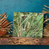 グラスパーカモフラージプラーク フォトプラーク (側面)