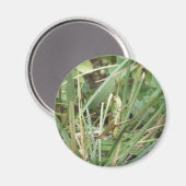 グラスパーカモフラージマグネット マグネット (正面/裏面)