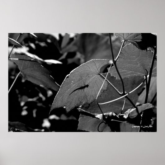 グラスパーシャドー ポスター (正面)