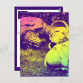 グラスファイバーのサマーアイスクリームのコーン ポストカード (正面/裏面)