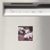 グラスファイバーのサマーアイスクリームのコーン マグネット (インサイチュ (食洗機))