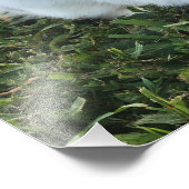 グラスフォトプリントの可愛い小さなウサギ フォトプリント            (角)