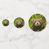 グラスフォト誕生日の可愛いブラウンフェレット コンフェッティ (正面)