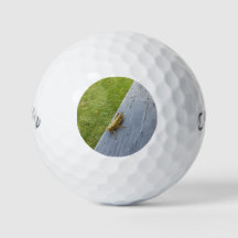 グラスホッパー