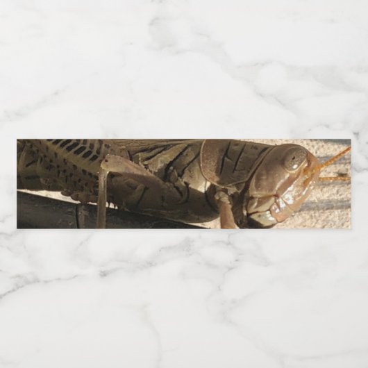 グラスホッパー  ペットボトルラベル (シングルラベル)