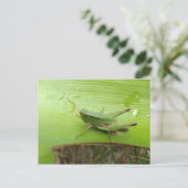 グラスホッパー ポストカード (スタンド正面)