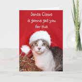 グラチのクリスマスキャット シーズンカード (正面)