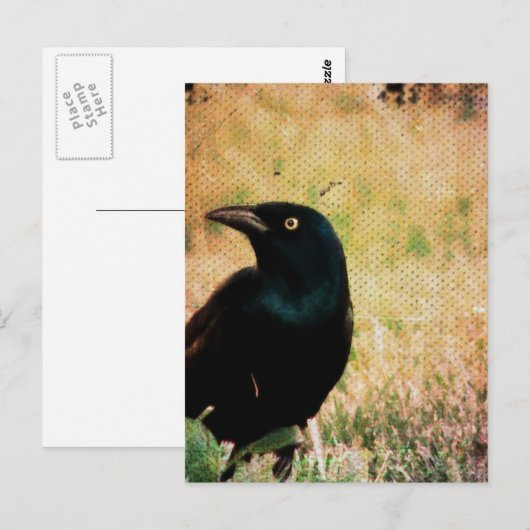 グラックル3 ポストカード (正面/裏面)