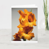 グラディオラス カード (正面)