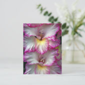 グラディオラフローラ美しい ポストカード (スタンド正面)