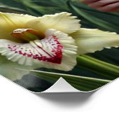 グラディオ威厳があるリの美しい妖精 ポスター (コーナー)