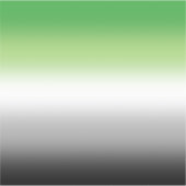 グラデーションアロマティックカラフルフラグ – アロマティックプライド シール (正面)