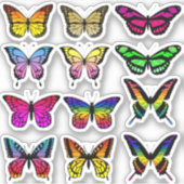 グラデーションカラー蝶ステッカーパック シール (正面)