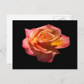 グラナダティーバラはがき ポストカード (正面/裏面)