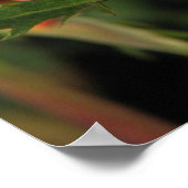 グラナダハイブリッドティーバラ046 ポスター (角)