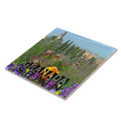 グラナダ タイル (側面)