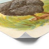 グラハム – バーレッドプリマスのロックスチキンズフォリオ ポスター (角)