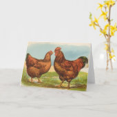 グラハム-ロードアイランド赤の鶏 カード (黄色い花)