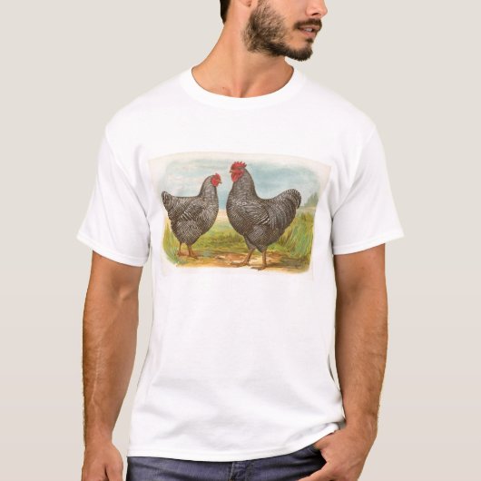 グラハム- Barred Plymouth Rocks Drinkes Tシャツ (正面)