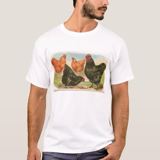 グラハム – Orpington Chickens Tシャツ (正面)