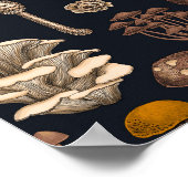 グラファイトブラックの野生のキノコ ポスター (角)