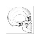 グラファイト図解入りの、写真付きのスカル ラバースタンプ (インプリント)