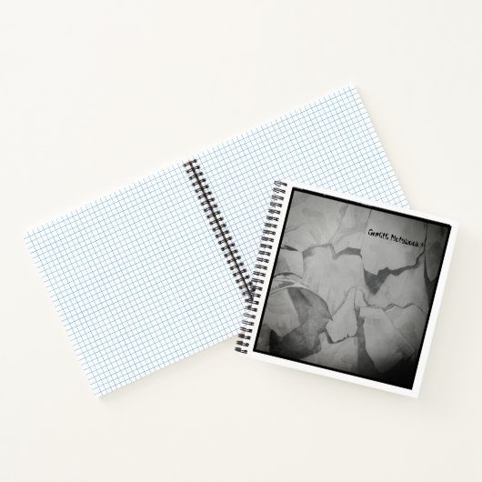 グラファイト手帳 ノートブック (内部)