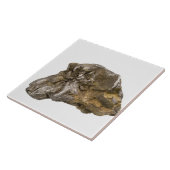 グラファイト、Danville、ヴァーモント、米国 タイル (側面)