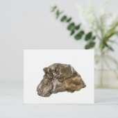 グラファイト、Danville、ヴァーモント、米国 ポストカード (スタンド正面)