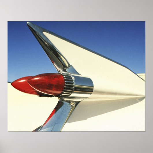 グラフィック：フィンのクローズアップとテールオン ポスター (正面)