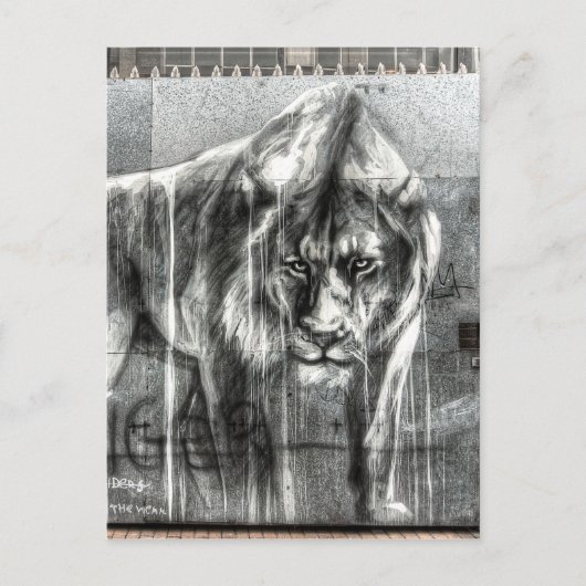 グラフィティのライオン、ロンドン・ショアディッチ ポストカード (正面)