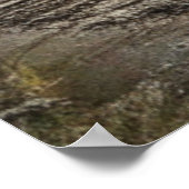 グラフィティアーバン通りアートで廃車 ポスター (角)