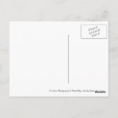 グラフィティデーモン ポストカード (裏面)