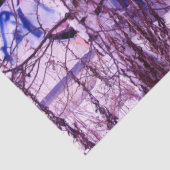 グラフィティ抽象芸術アーバン17デクページティッシュペーパー 薄葉紙 (詳細)