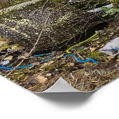 グラフィティ通りアート放棄建物ポスター ポスター (角)