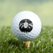 グラフィティ2 be6 gbcnm ゴルフボール (インサイチュ 木)