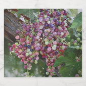グラフェビン豊富 – Hyperrealistic Botanical Pai スパークリングワインラベル (シングルラベル)