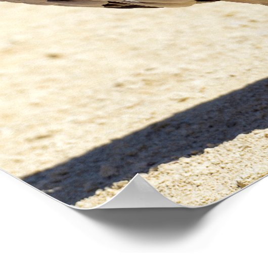 グラフォンのハゲハゲワシの金属オーナメント ポスター (角)