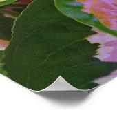 グラプトフィラムピクトゥムロシーバリエガータ ポスター (角)