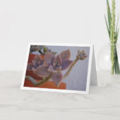 グラプトペタルム・パラグアイエンセ　幽霊の多肉植物 カード (正面)