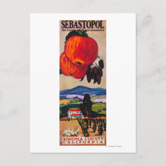 グラベンシュタインの家 ポストカード (正面)