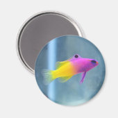 グラマ王室の写真 マグネット (正面/裏面)