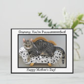 グラミーあなたは法相宗！タイガー・キャット・マザーズ・デイ シーズンカード (スタンド正面)